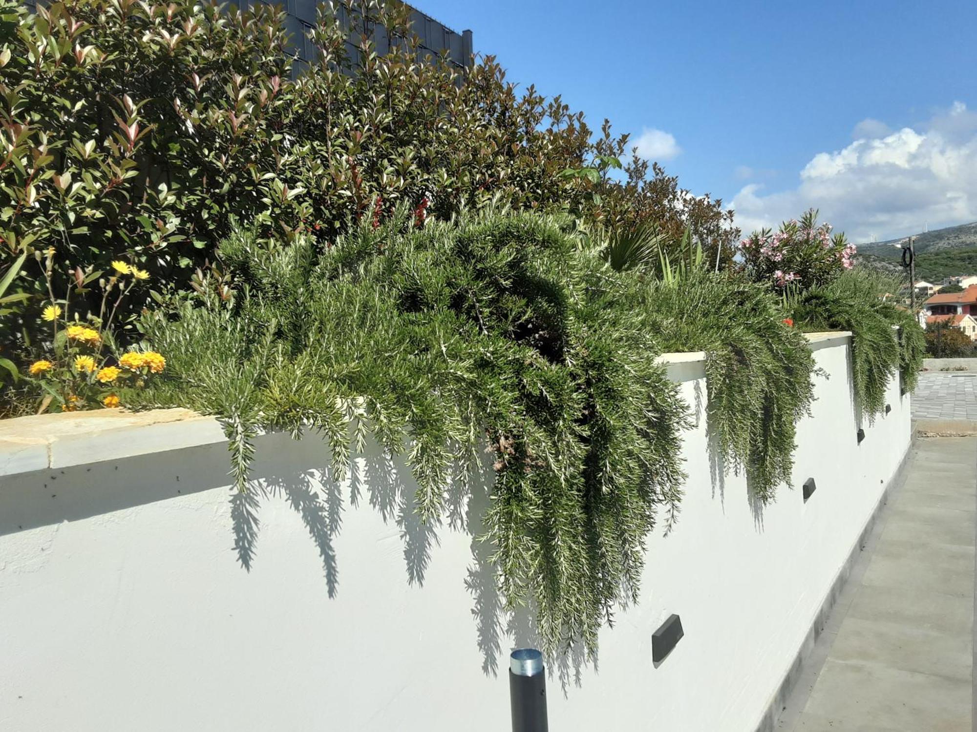Villa Barbara & Zoran With Free Parking And Heated Swimming Pool Seget Vranjica Exterior foto
